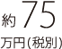 約75万円（税別）